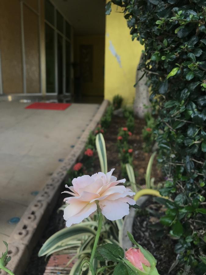 ザ M ボーケーオ ホテル Huay Xai エクステリア 写真